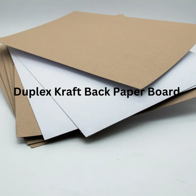 Duplex Board Kraft Back Manufacturer & Supplier