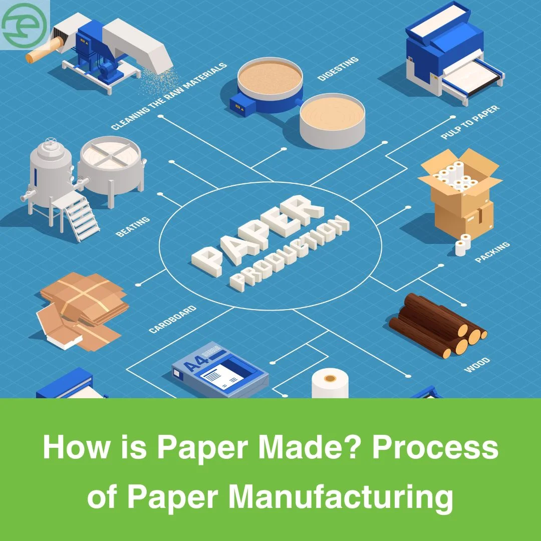 How is Paper Made? Process of Paper Manufacturing