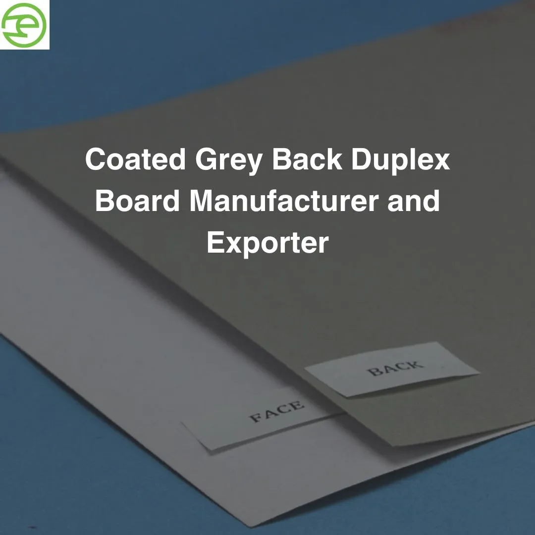 Coated Grey Back Duplex Board Manufacturer And Exporter