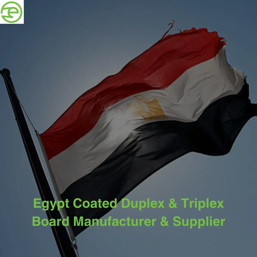 Egypt Coated Duplex & Triplex Board Manufacturer & Supplier