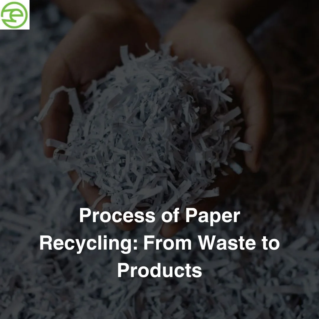 Process Of Paper Recycling: From Waste To Products